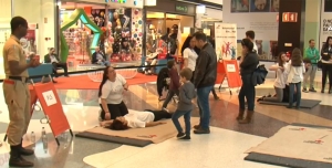 Prémio Sasakawa | Juventude CVP Amadora