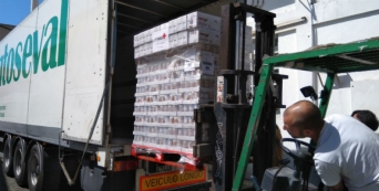 Task Force Operação Embondeiro, ajuda humanitária, Armazém Prior Velho, 24.03